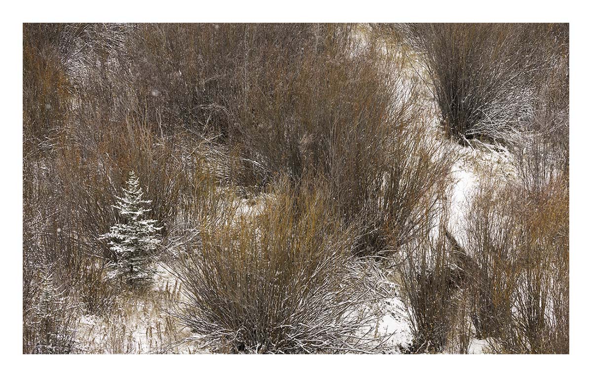 Grand Teton NP